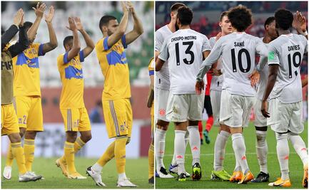 ¿Quiénes son los dueños de Tigres y Bayern Munich?