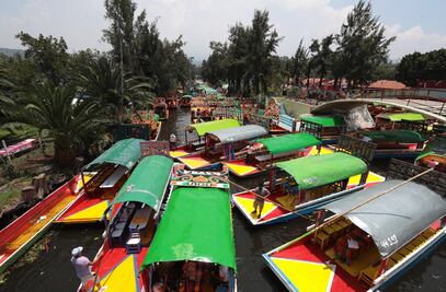 Mexicanos emplean nanotecnología para rescatar los canales de Xochimilco, en riesgo de desaparecer 