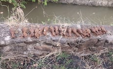 Estalla taller clandestino de explosivos operado por Los Viagras en Buenavista, Michoacán; hay al menos tres muertos