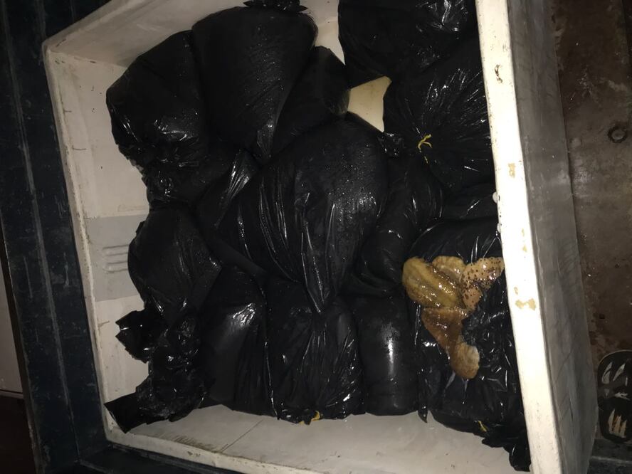 Fotografía: Cuauhtémoc Moreno Cabrera