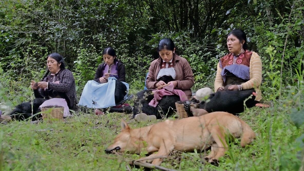 Las pastoras aún andan por las veredas, dice Gabriela. Foto: Bosquenegro