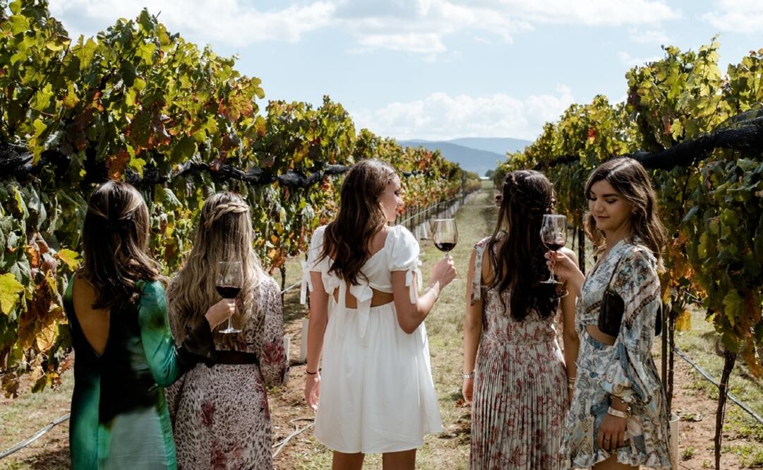 Fotos: mredes sociales Bodega Los Cedros y Bodegas del Viento