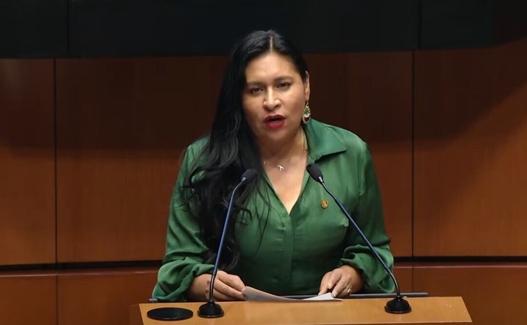 Senadora Ana Lilia Rivera. Foto: Captura