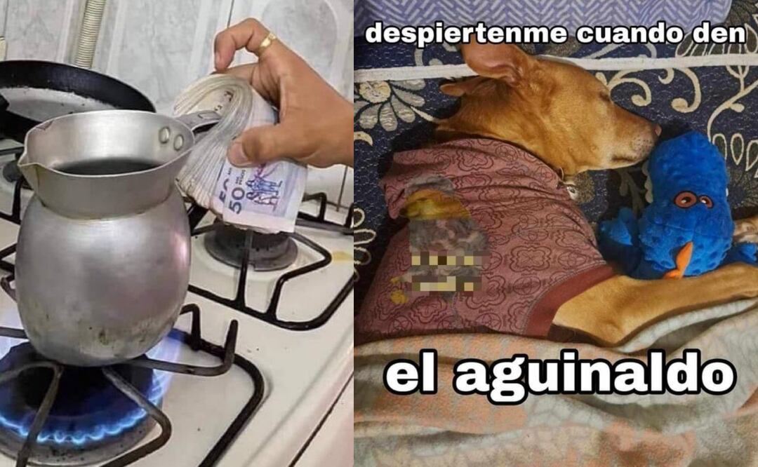 Usuarios en redes esperan su aguinaldo de 2025 con ansías a través de ola de memes. Foto: X