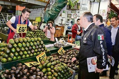 Por sobredemanda sube precio de aguacate: productores de Michoacán