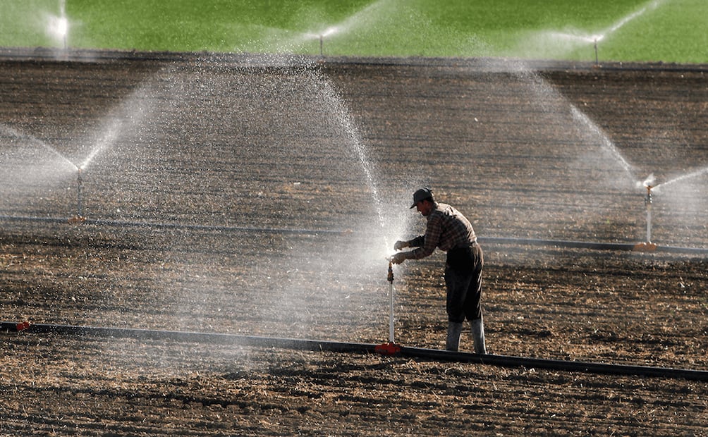 El riego impacta directo en la producción agrícola. Foto: iStock