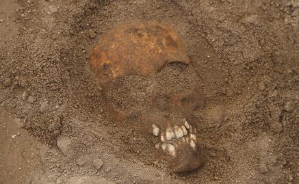 Estudio de ADN cuestiona versión de la Biblia sobre los cananeos