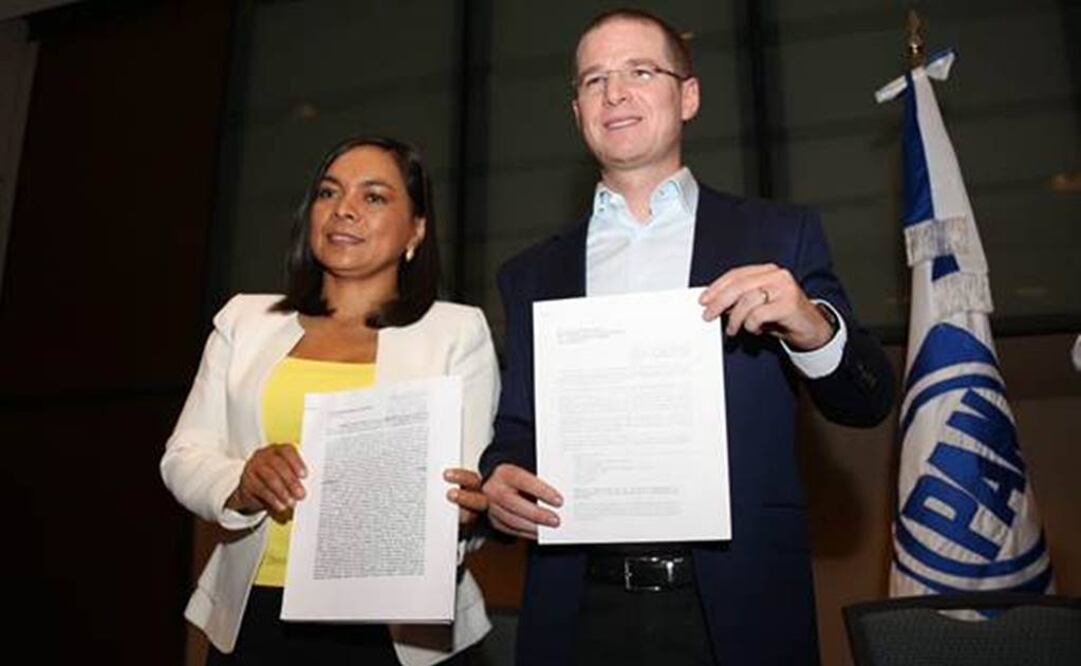 (Foto: Cortesía PAN)