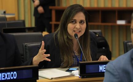 Senadora de Morena propone cancelar visa a extranjeros que cometan discriminación; "a los mexicanos se les respeta", dice