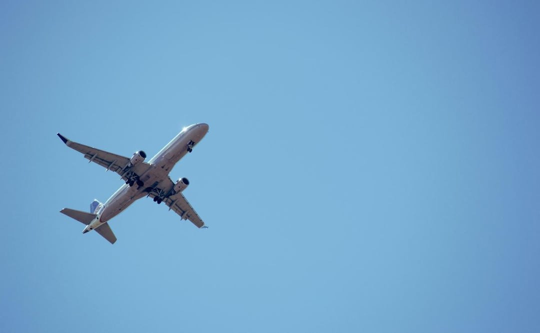 Vuelo rumbo a México. Foto: Pexels