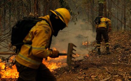 Chile pide ayuda a México, Brasil, Argentina, Uruguay y España por incendios forestales