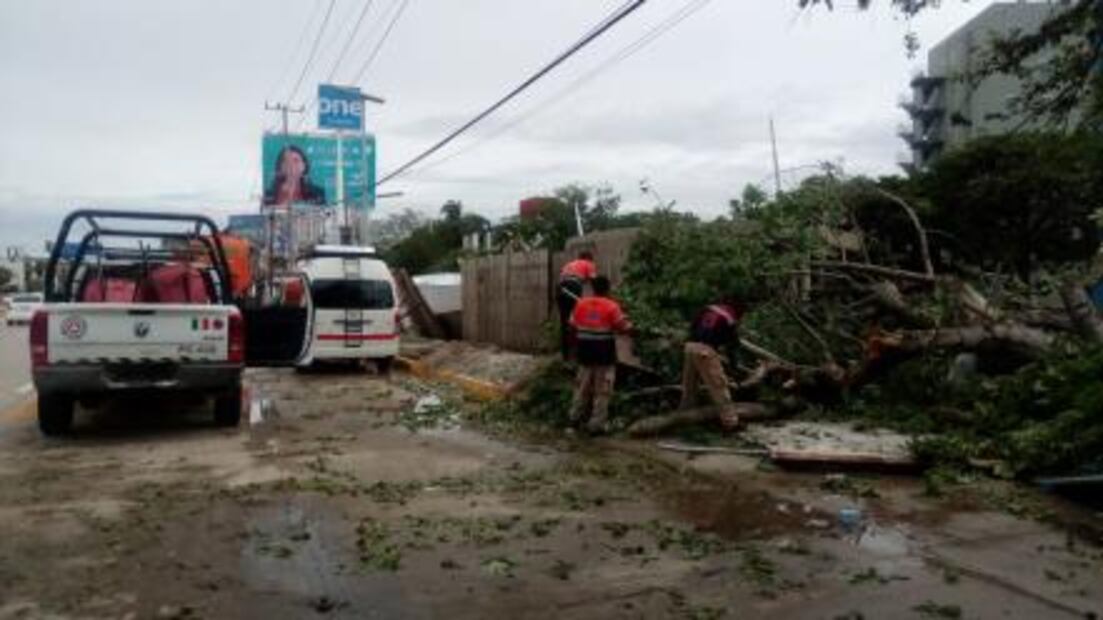 "Carlotta" deja daños en 14 municipios de Guerrero