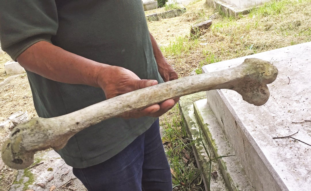 Un sepulturero aseguró que suelen ser los estudiantes de Medicina quienes se acercan a ellos para comprar huesos. “H an venido varios, a escondidas, porque esto es muy delicado”, afirmó. (CARLOS MEJÍA. EL UNIVERSAL)