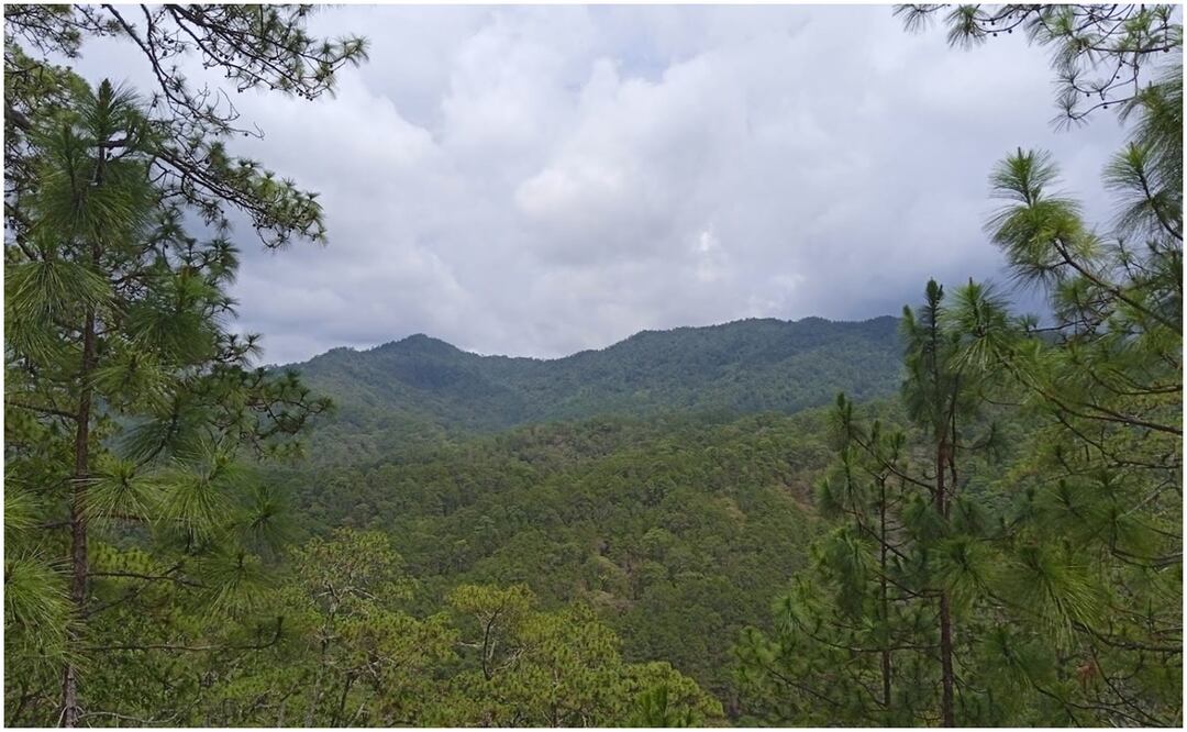 Tribunal Unitario Agrario falló a favor de Chiapas y en contra de Oaxaca por disputa de tierras (23/11/2024). Foto: Archivo