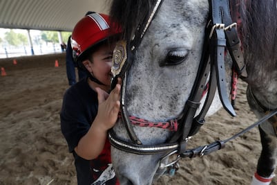 Caballos policías ayudan a niños con autismo