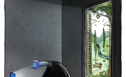 De la vida real a la virtual