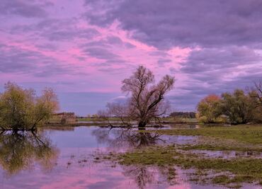 Naturaleza se acopla al cambio climático