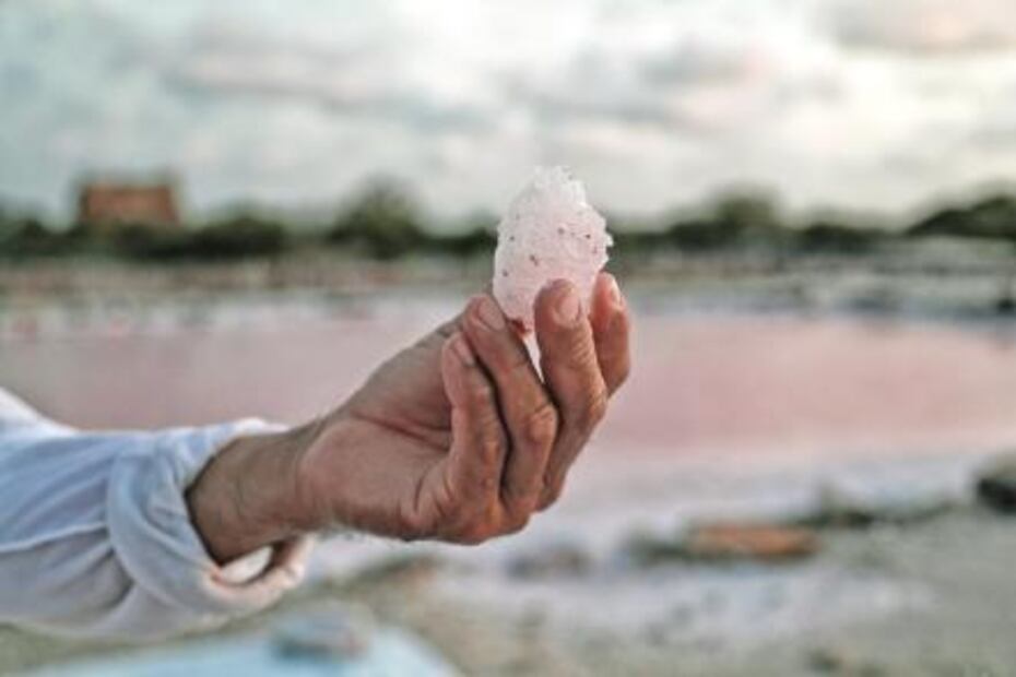 Oro rosa. Dejan pescadores las redes para sacar sal