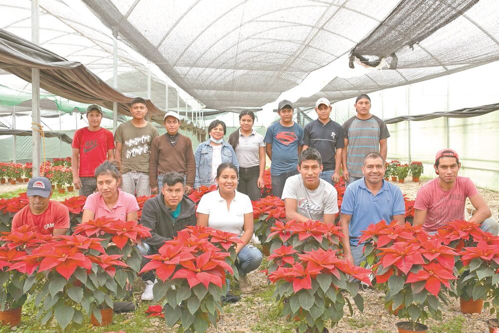 El Campamento de las Flores nació como un negocio que, para subsistir, vendía las flores de la casa materna de la familia de Roberto Morales Hernández. Ahora es una de las más grandes del estado de Oaxaca. Fotos: MARIO A. MARTÍNEZ