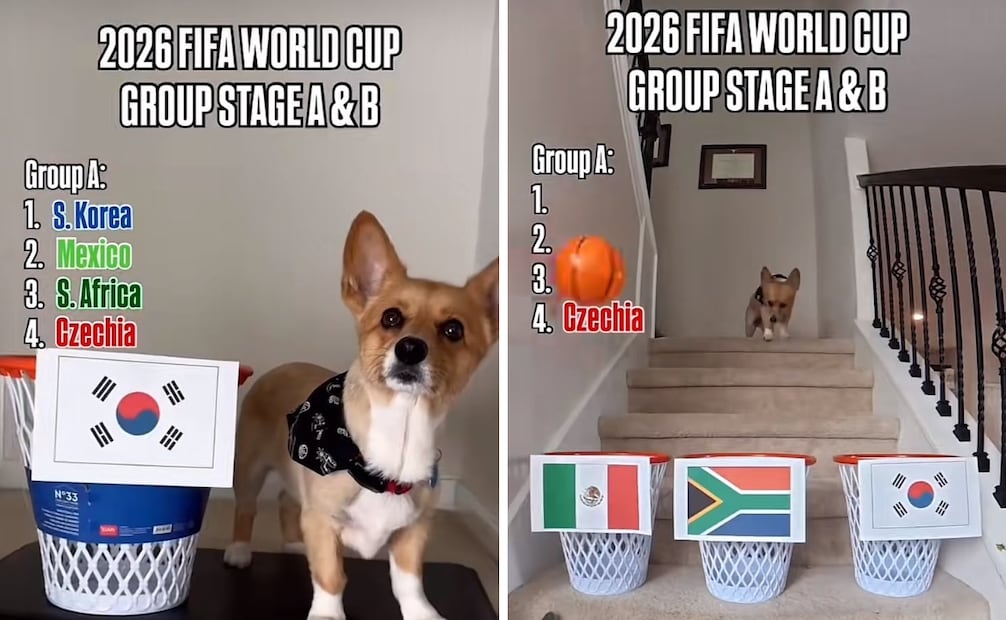 Foto: Captura de pantalla en TikTok