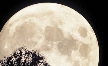 Subastan un fragmento de la Luna