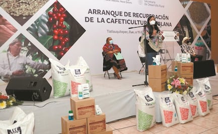 Gobierno impulsa a cafeticultores en Puebla