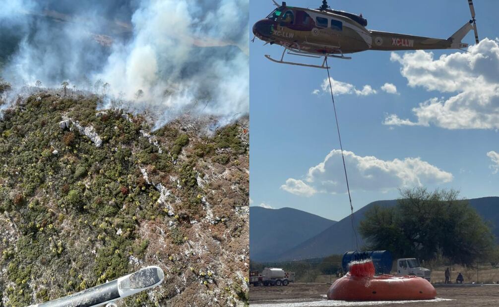 Bomberos intentan apagar incendio en Tamaulipas (04/03/2026). Foto: Especial