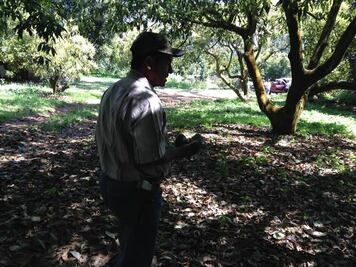 Asesinan a fundador de autodefensas de Tancítaro