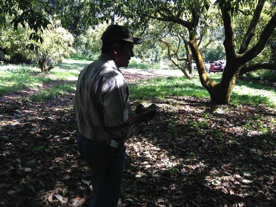 (Foto. Carlos Arrieta / EL UNIVERSAL)