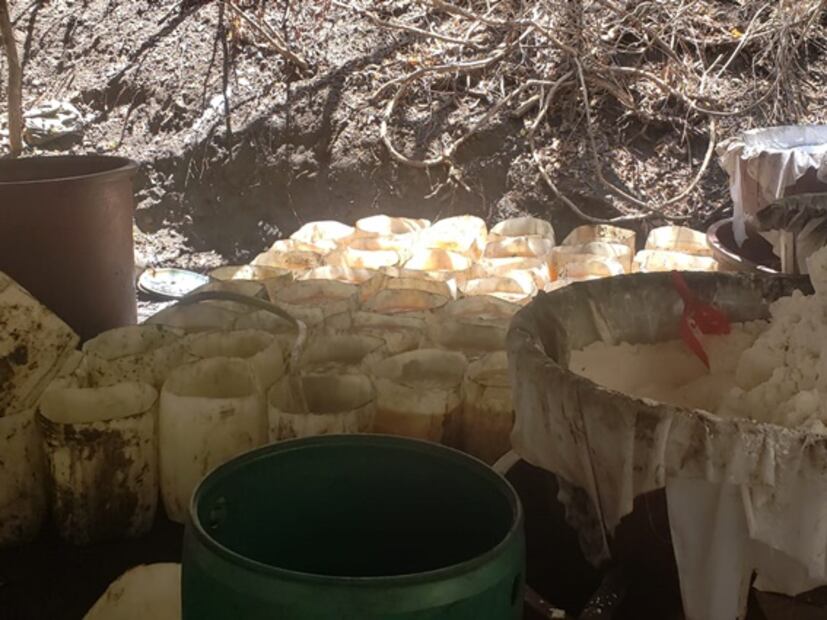 Localizan cuatro laboratorios clandestinos en Sinaloa; procesaban drogas sintéticas