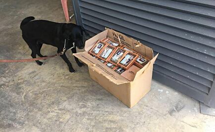 Decomisan puros cubanos en central camionera de Mérida