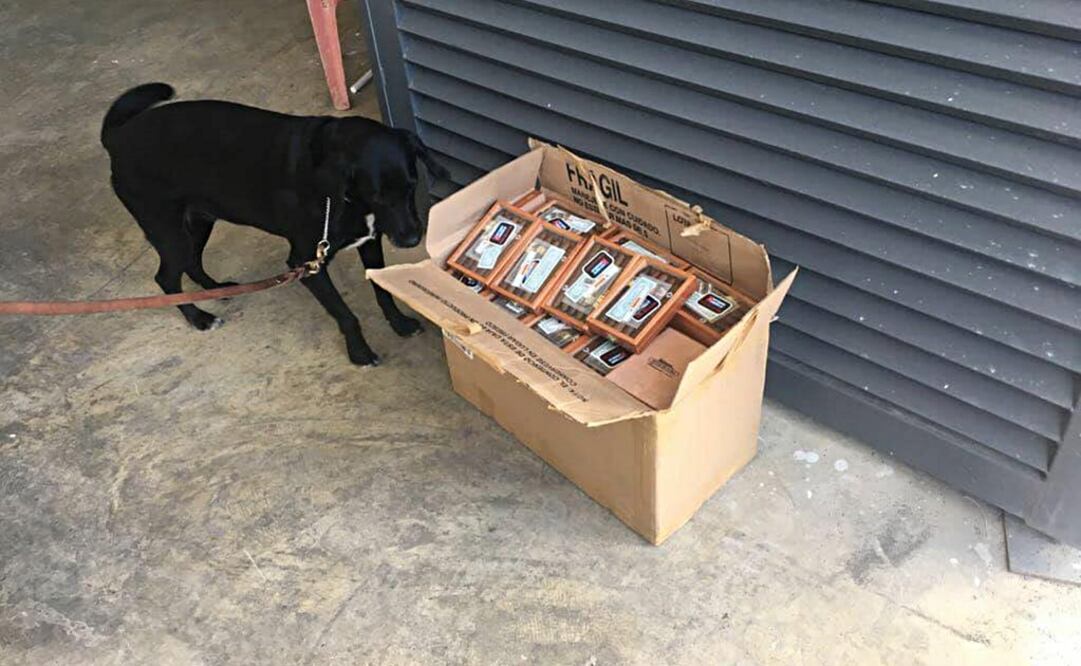 Foto: Cuauhtémoc Moreno Cabrera/ EL UNIVERSAL