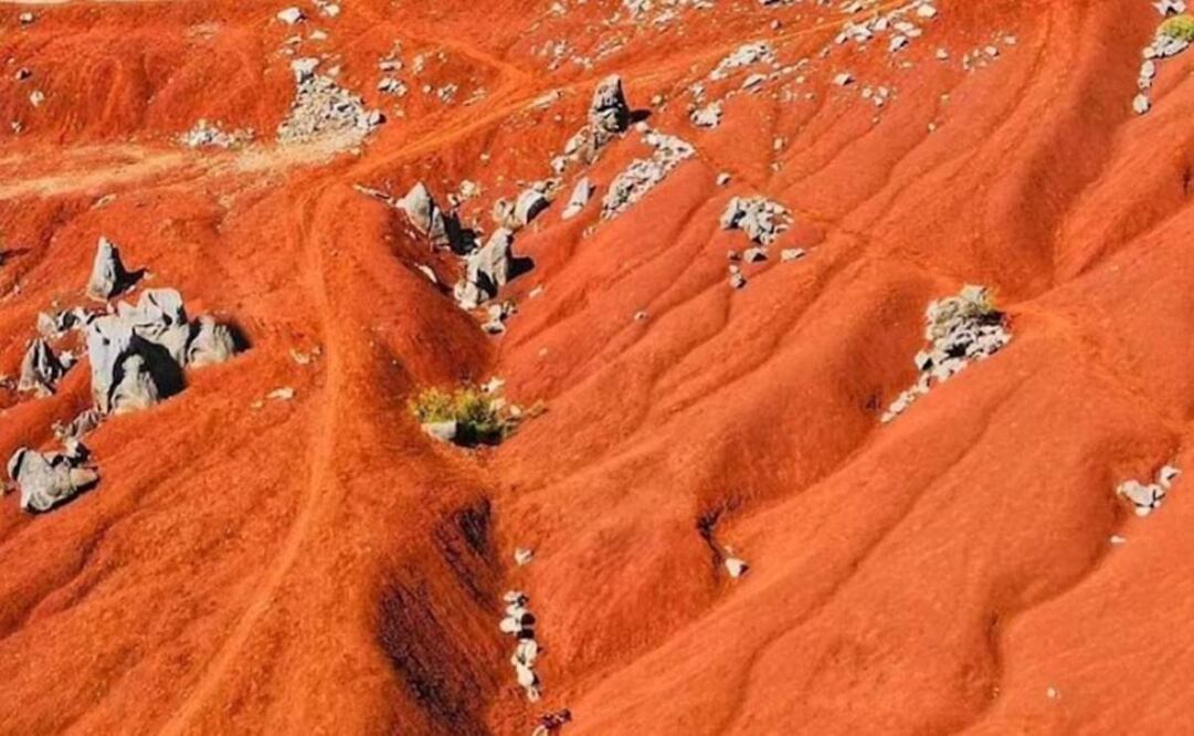Esta es la sexta edición de estos galardones. Foto: Especial