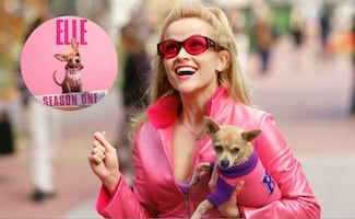 “Elle”, la precuela de “Legalmente Rubia” ya tiene fecha de lanzamiento; ¿cuándo se estrena y dónde ver la serie?