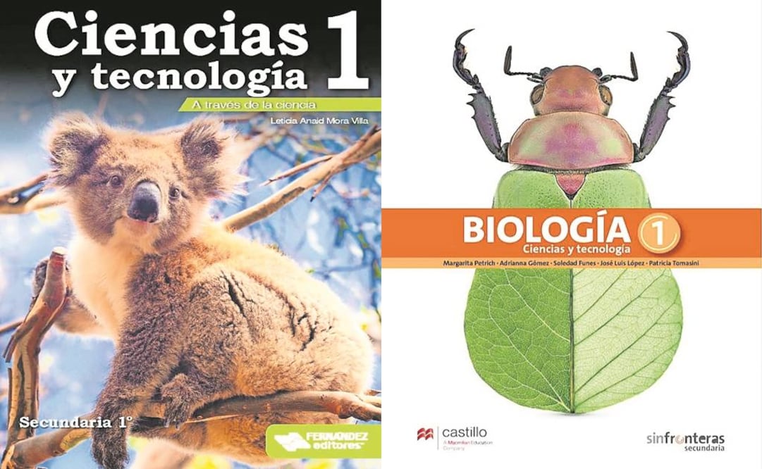 Los nuevos libros de texto de primero de secundaria para la materia de Biología aumentarán la hipersexualización de los jóvenes, argumentan organizaciones de padres de familia (ESPECIAL)