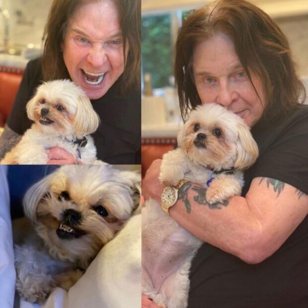 Confesión de Ozzy Osbourne sobre maltrato animal genera repudio
