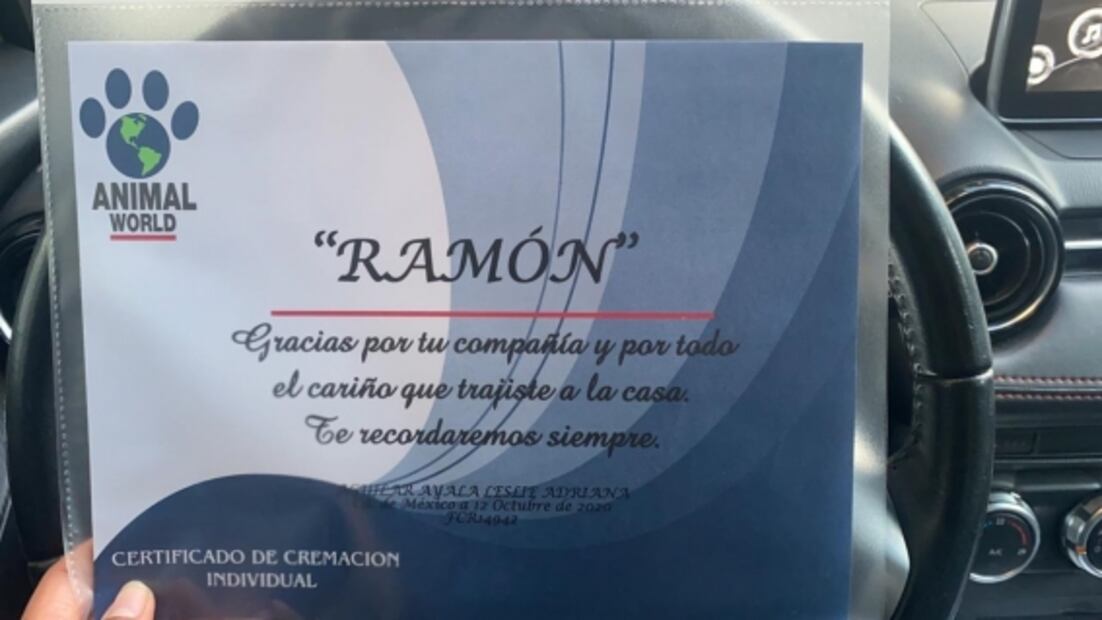 Video registra ataque a perro "Ramoncito" por pitbull y rottweiler