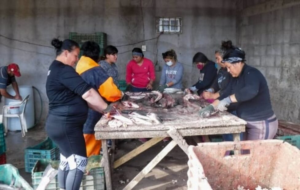 De pescadores y pescadoras: la crisis de la pesca en México