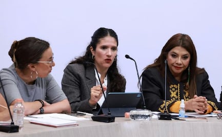 Fiscalía CDMX niega desaparición de 300 animales del Refugio Franciscano; aclara cifras y confirma 21 muertes antes del operativo