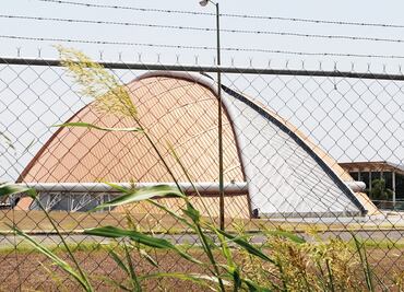 El Armadillo, la semilla que una planta sepultó