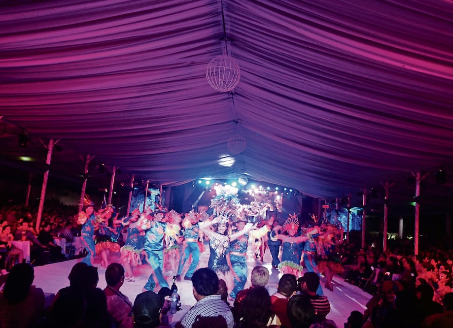 El festival ofreció música, concurso de disfraces y baile (BETSY OLIVARES. CLÍNICA DE PERIODISMO)