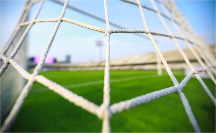 Boca e Independiente le ofrecen porteros a Pumas