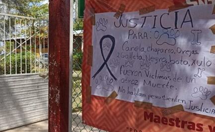 Yucatán: suspenden a directora de secundaria por crueldad animal; ordenó envenenar a siete perros