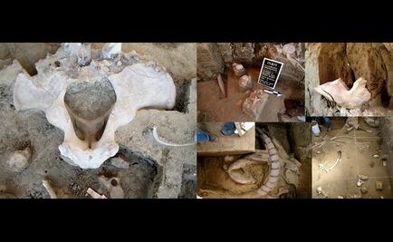 Confirman hallazgo de restos de mamuts en el Estado de México