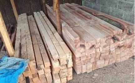 En mega operativo desmantelan aserradero clandestino en el Ajusco; aseguran madera de tala ilegal