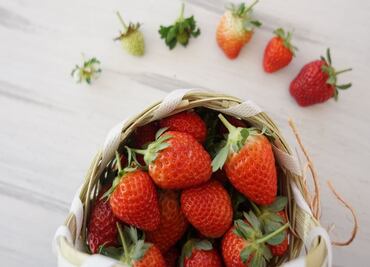 En Irapuato son muy fresas