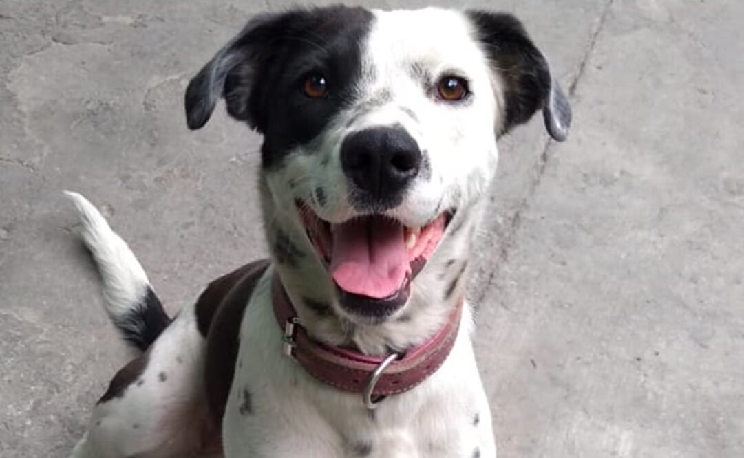 Foto: Archivo EL UNIVERSAL