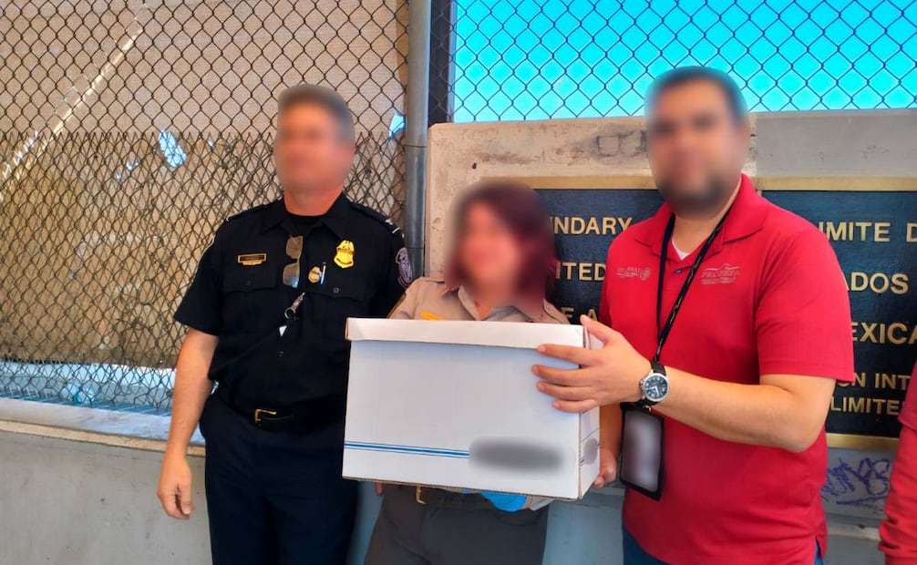 La Profepa informó que los ejemplares de Amazona albifrons están siendo atendidos para que, una vez recuperados, se determine su destino final. Foto: Especial