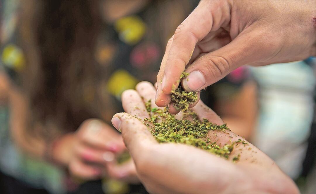 Foto: Archivo/ EL UNIVERSAL                          