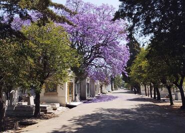 Tacuba, la zona con más panteones de extranjeros en la CDMX